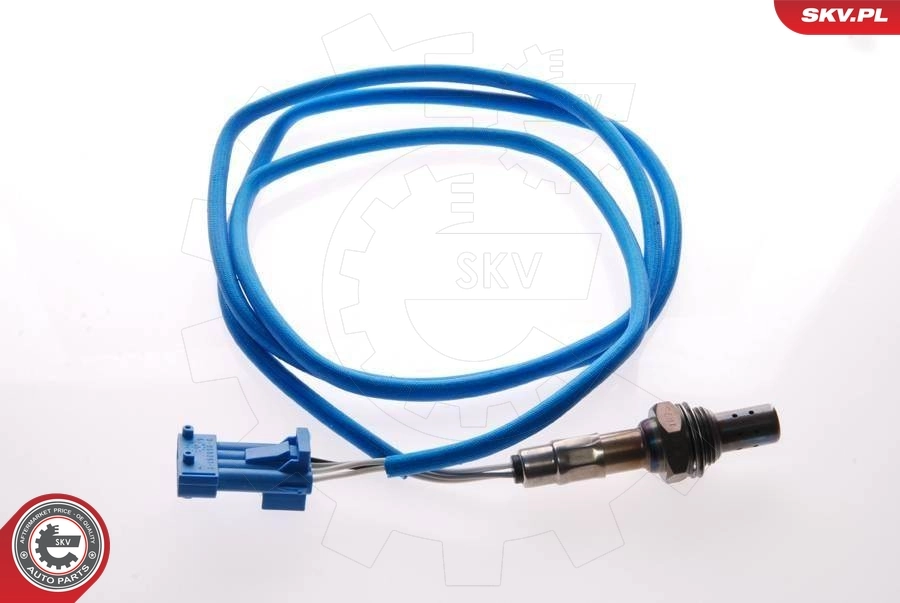 Oxygen Sensor